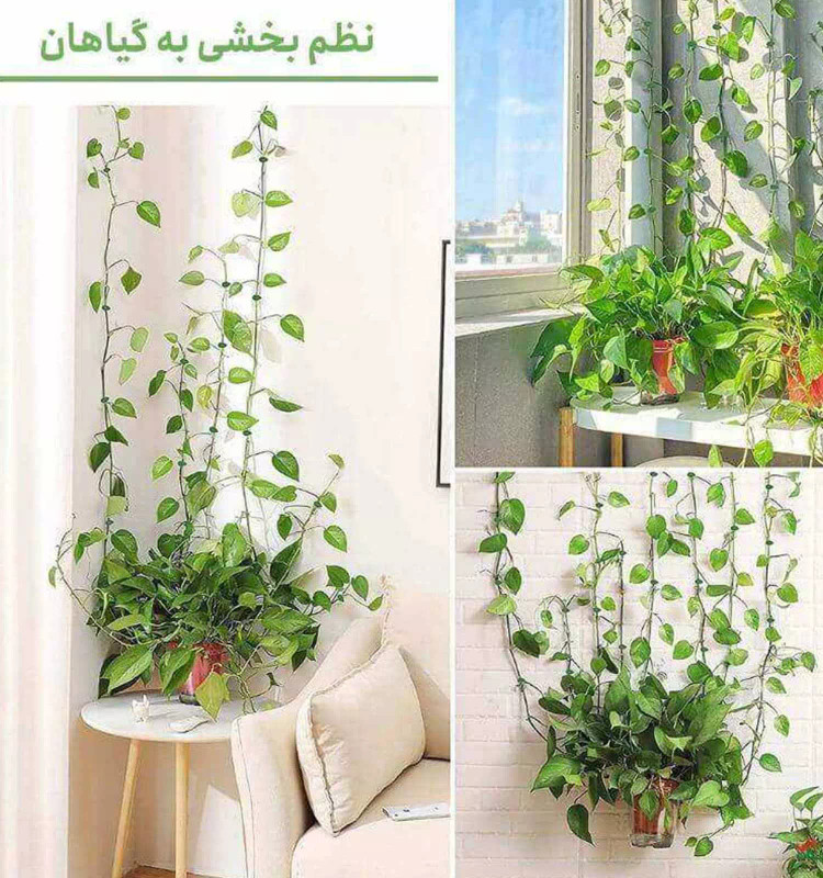 گیره پتوس بسته(۸عددی)