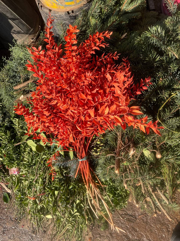 گل خشک جزه رنگ نارنجی یک دسته