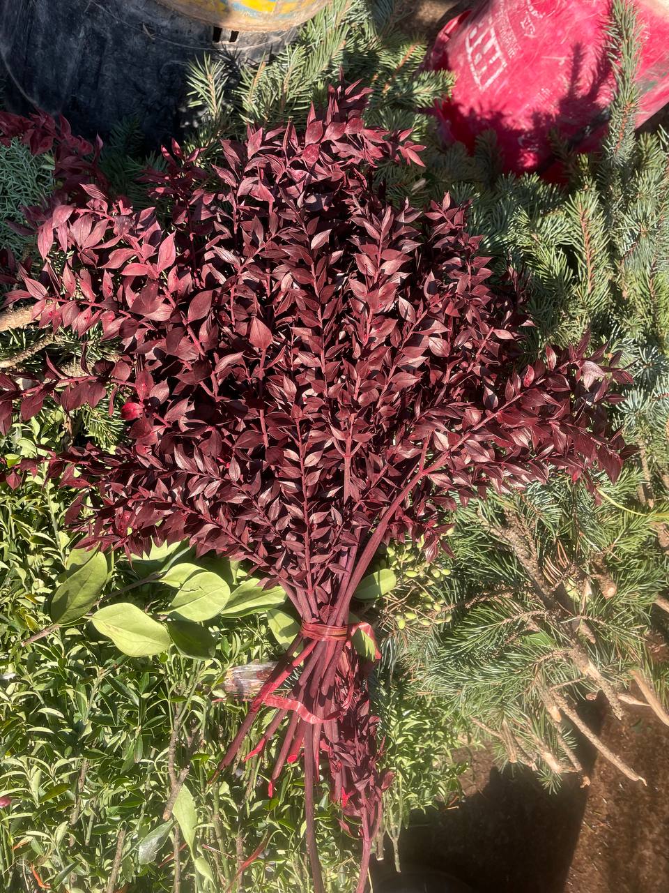 گل خشک جزه رنگ عنابی یک دسته
