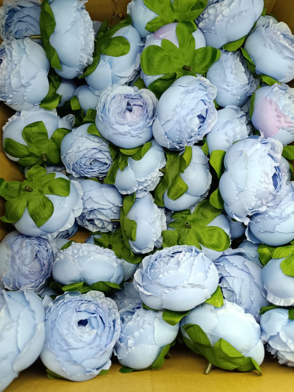 سرگل پیونی (پائونی) بزرگ رنگ آبی کمرنگ 10عددی