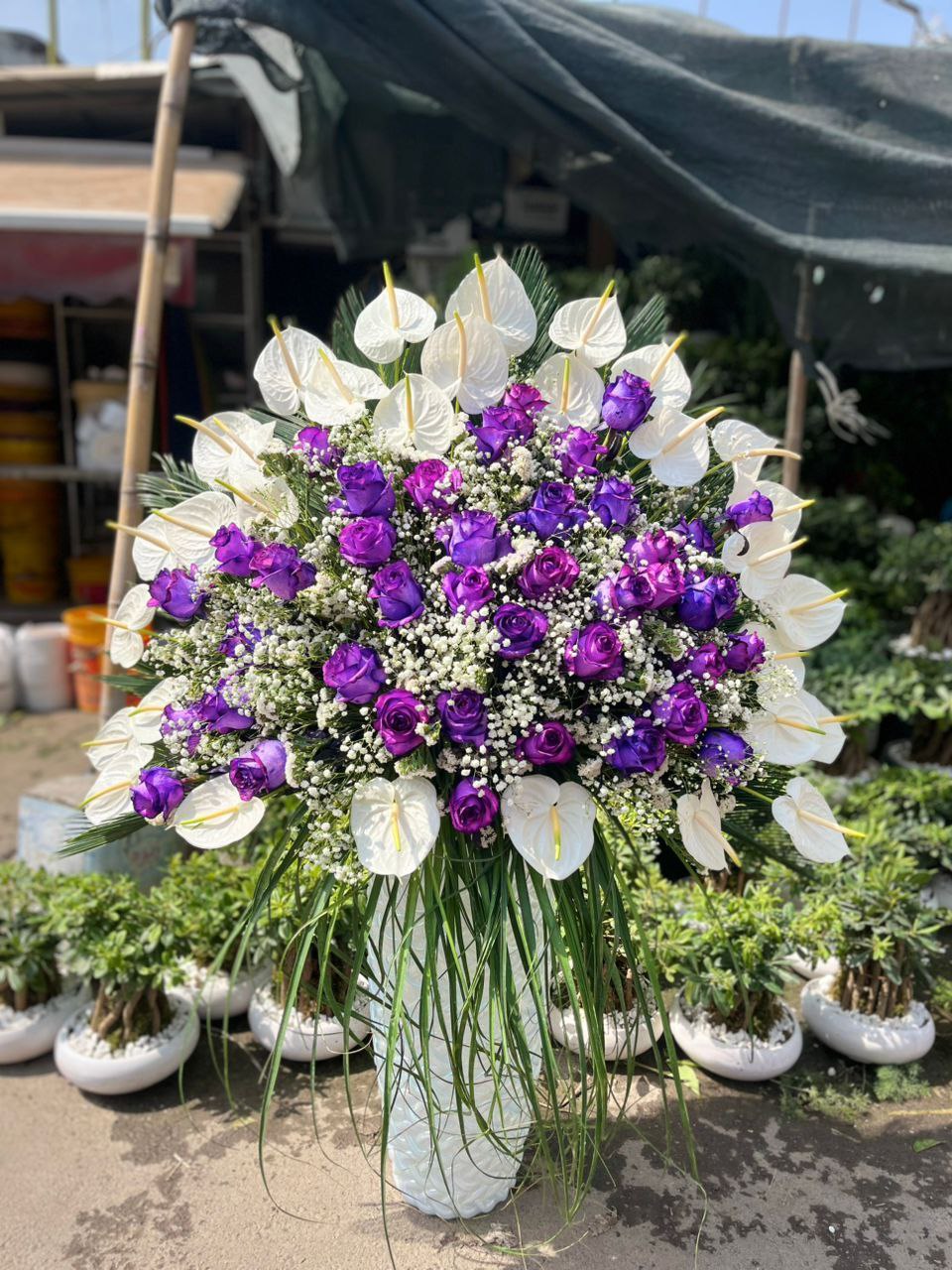 باکس گل رز بنفش