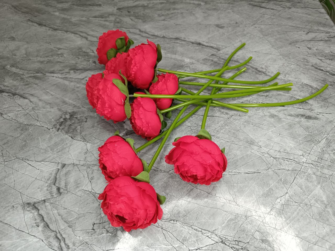 سرگل پیونی (پائونی) با ساقه سایز بزرگ رنگ قرمز 10عددی