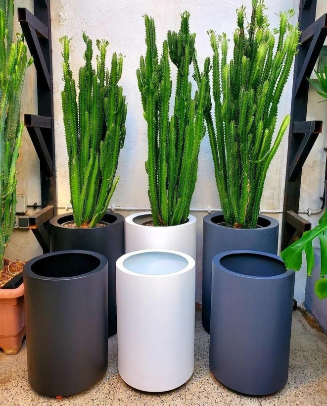 فلاور باکس استوانه ای ابعاد 60در35