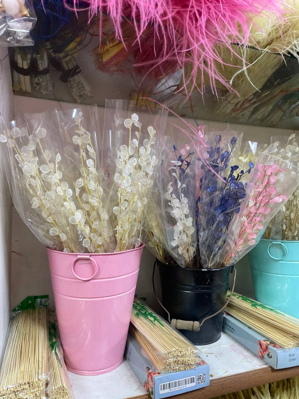 گل خشک سکه ای کرمی