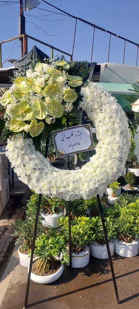 داج گل یک طبقه داودی