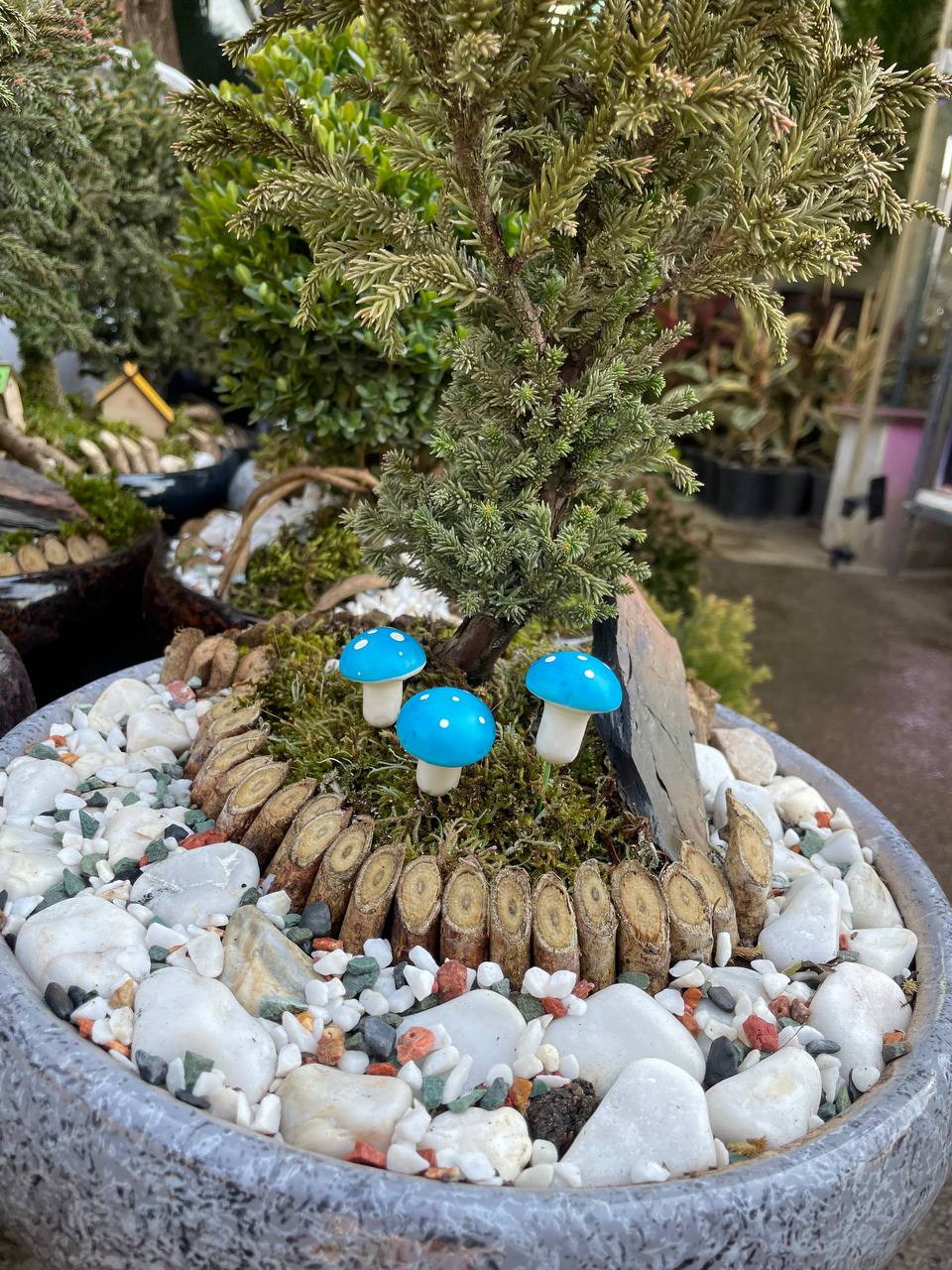 قارچ دکوری آبی یک عددی
