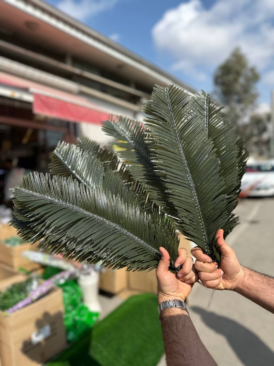 برگ سیکاس مصنوعی رنگ تیره ۱۰عددی