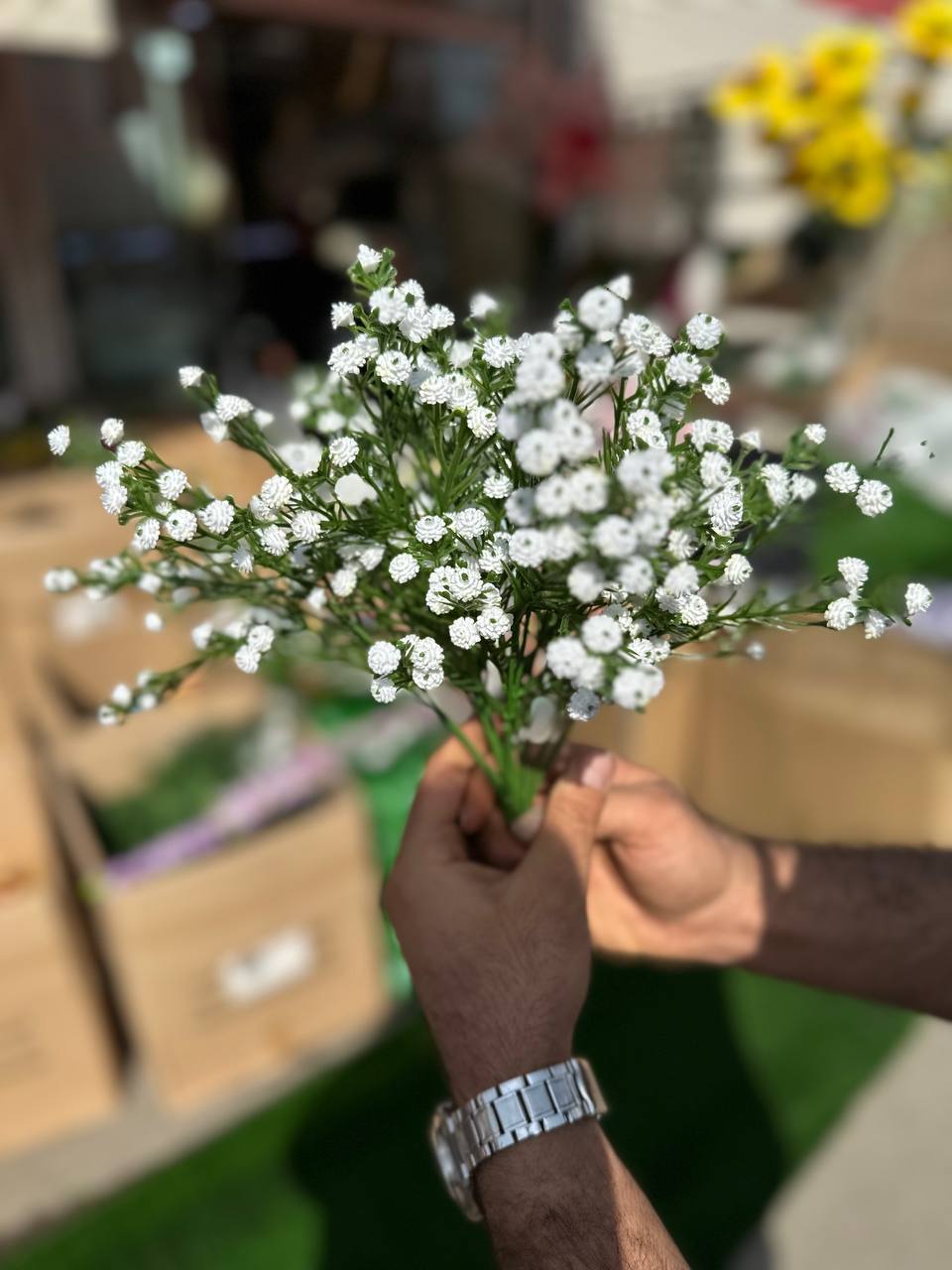 عروس مصنوعی بوته ای