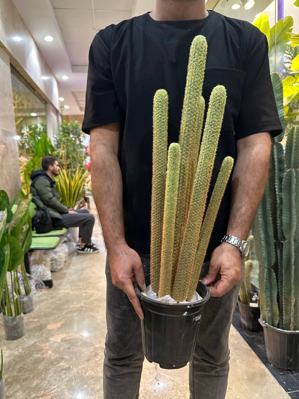 کاکتوس مصنوعی چند شاخه