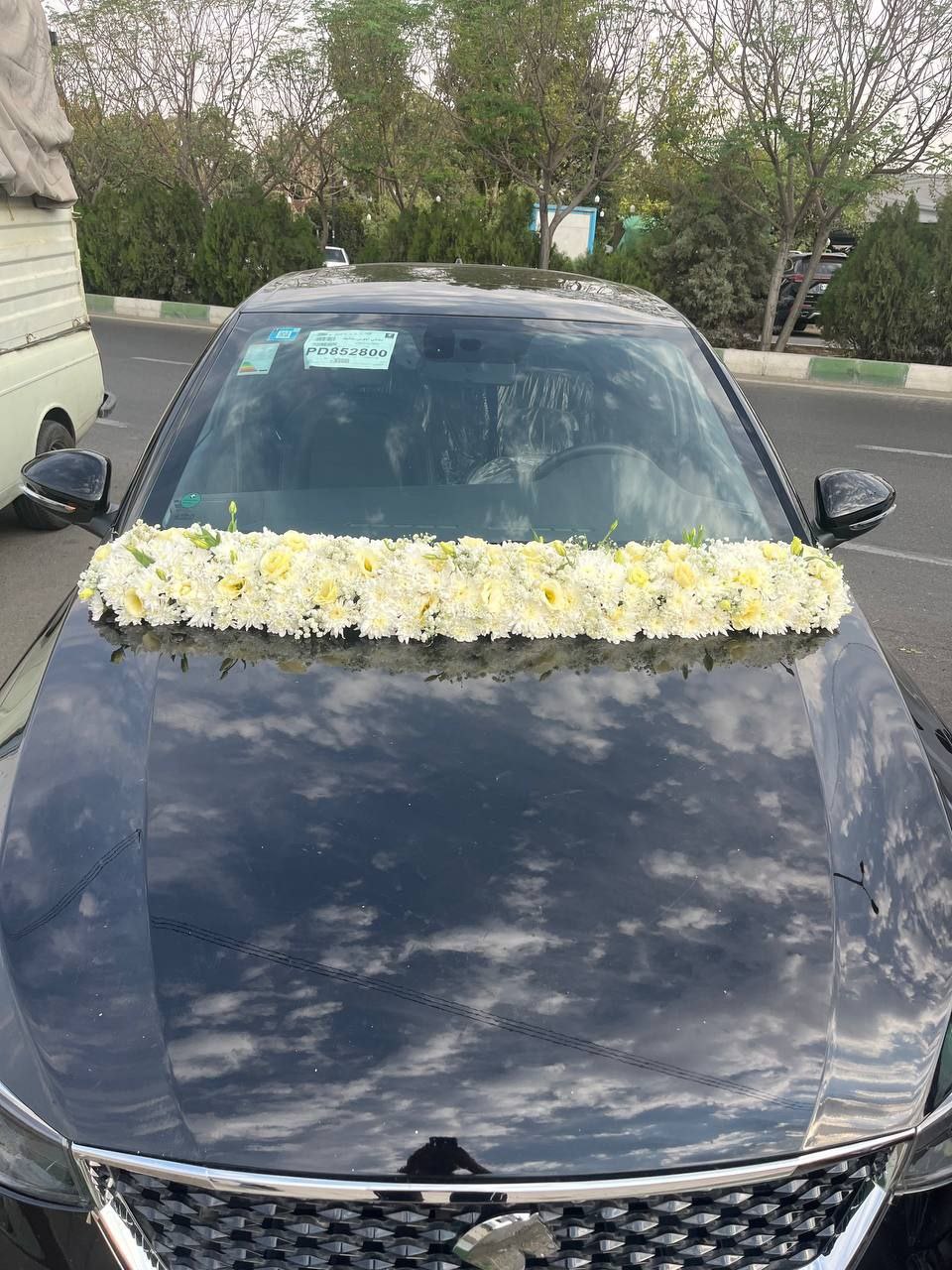 ماشین عروس گل نباتی