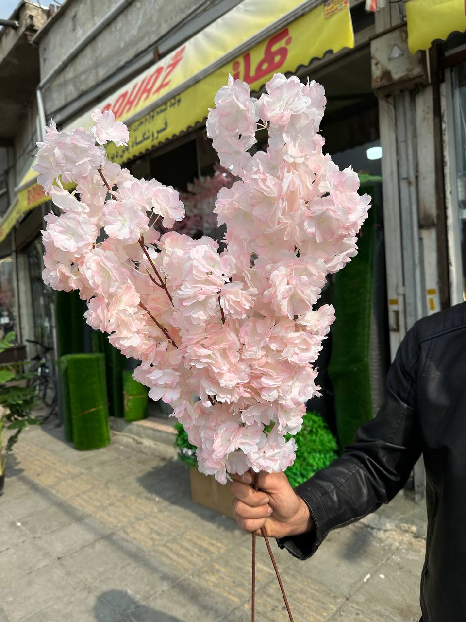 شاخه شکوفه هلو گلبهی کمرنگ