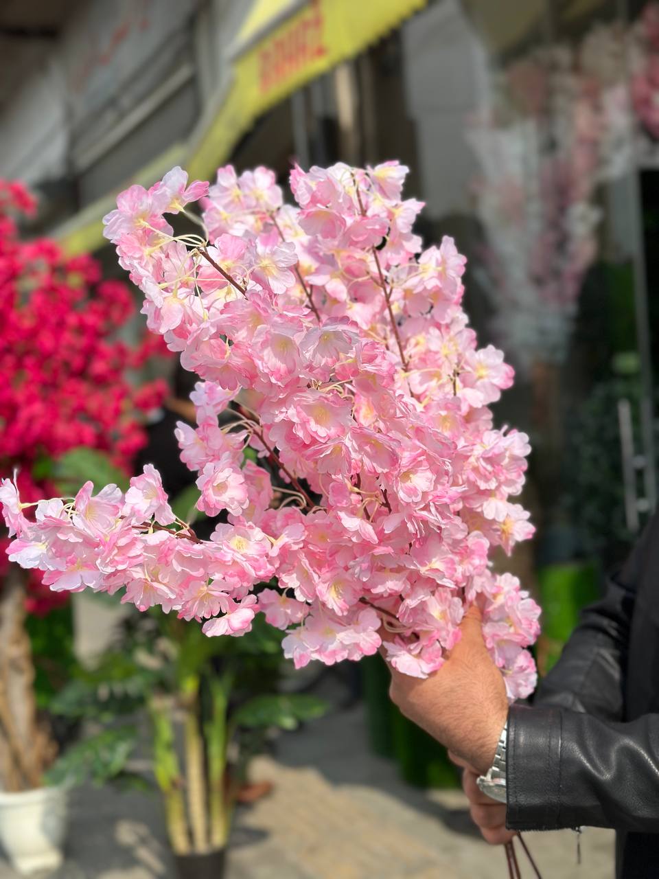 شاخه شکوفه هلو لبه صورتی