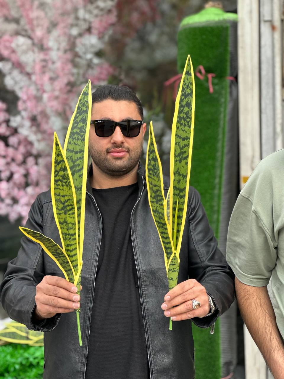 سانسوریا مصنوعی 65سانتی