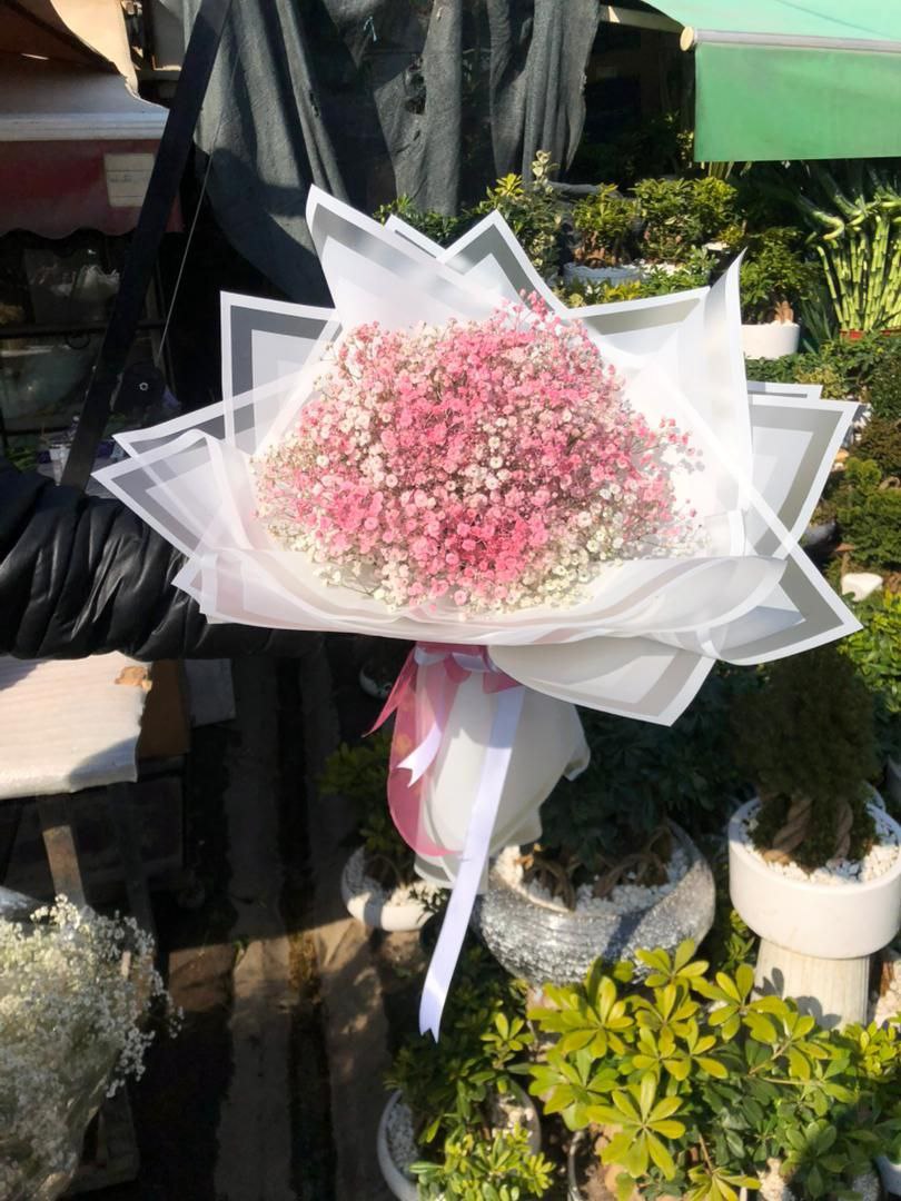 دسته گل ژیپسوفیلا رنگی