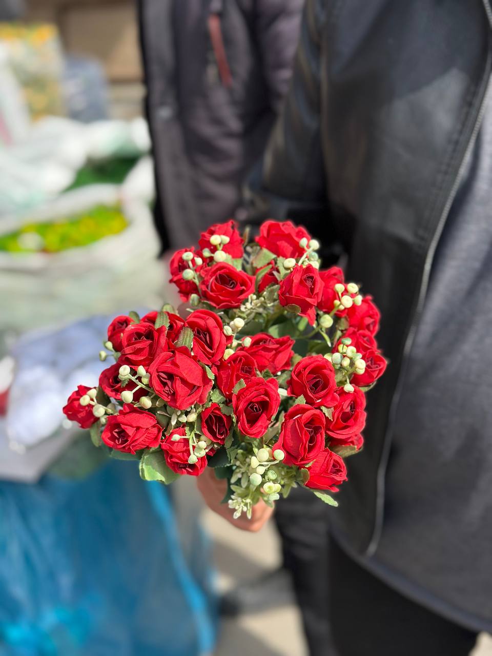 بوته رز هلندی قرمز یک عددی