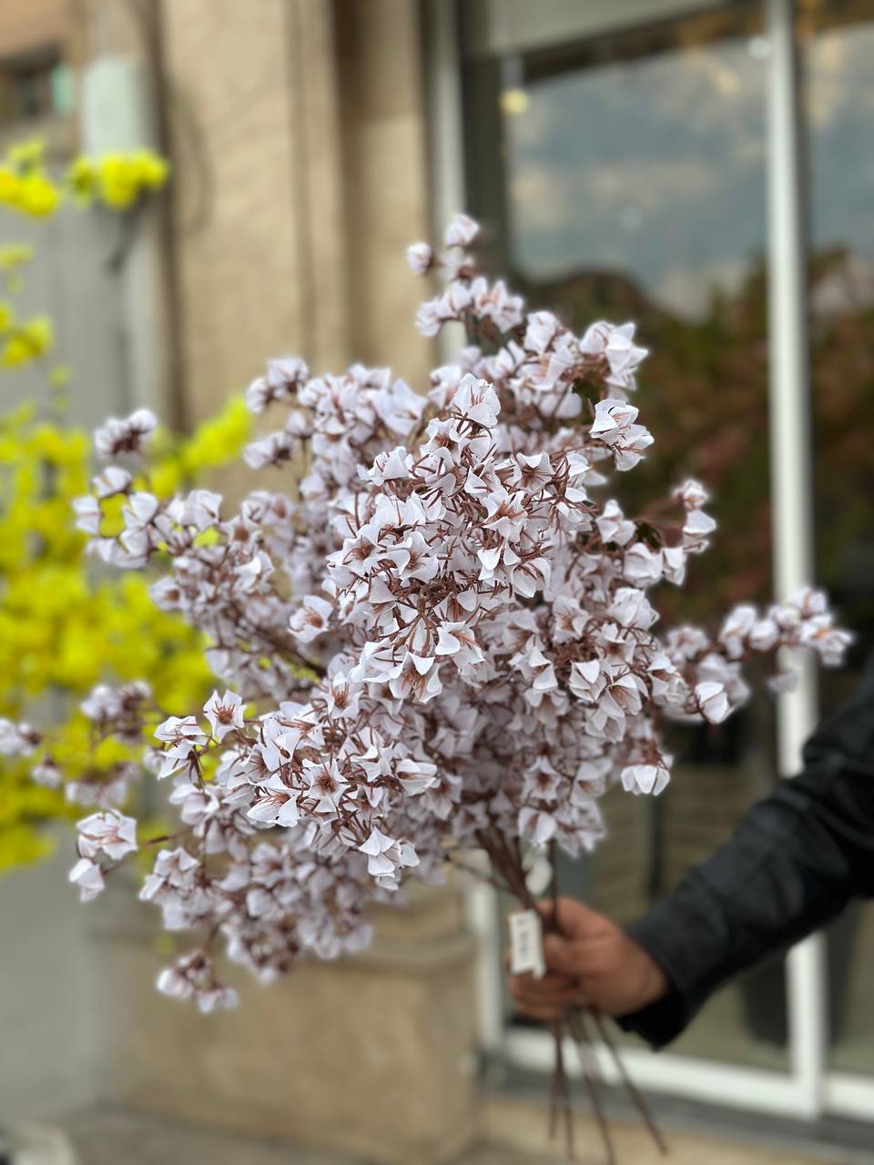 شاخه شکوفه خار دار  وارداتی سفید