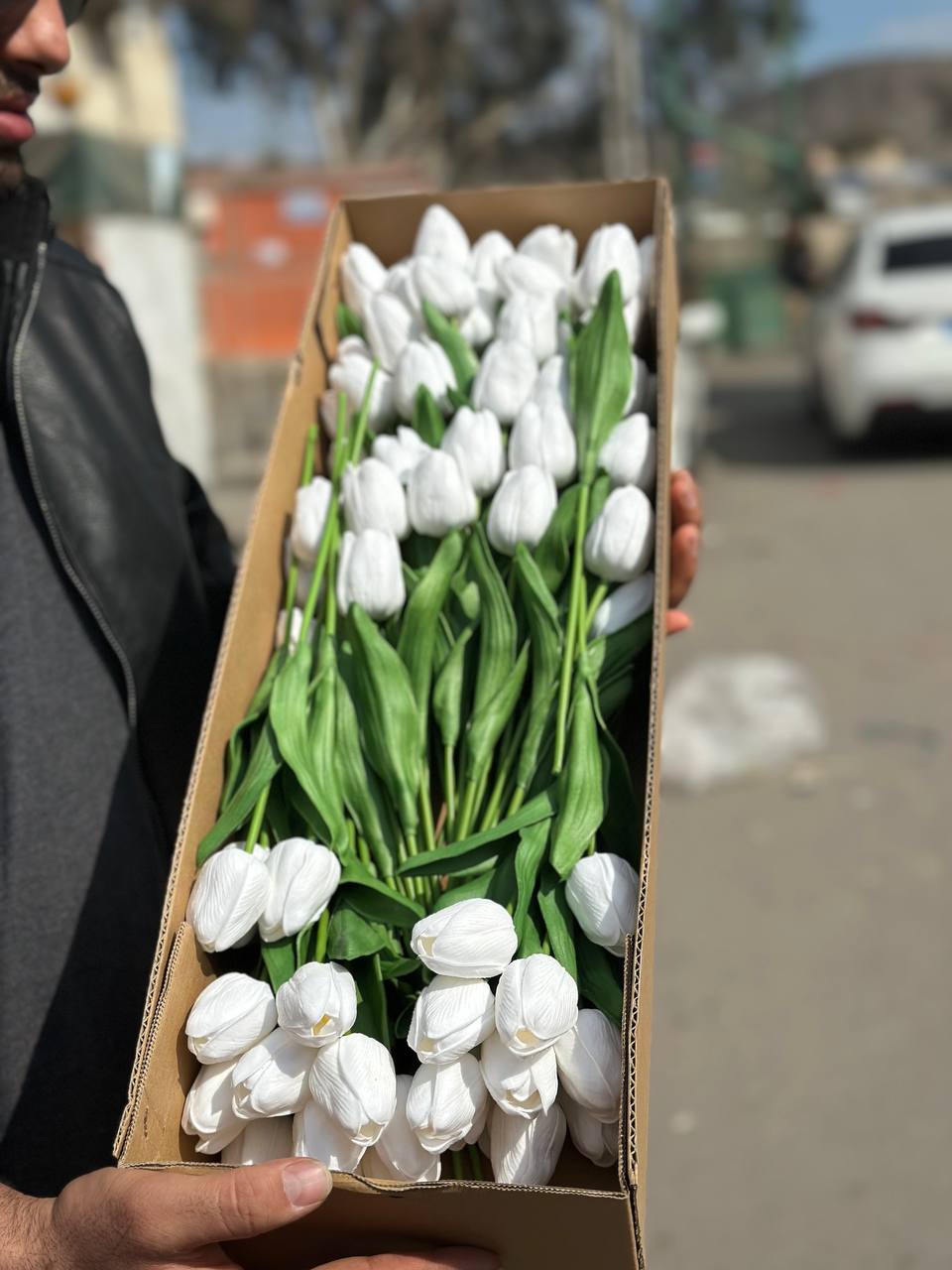 لاله لمسی وارداتی رنگ سفید ۱۰ عددی