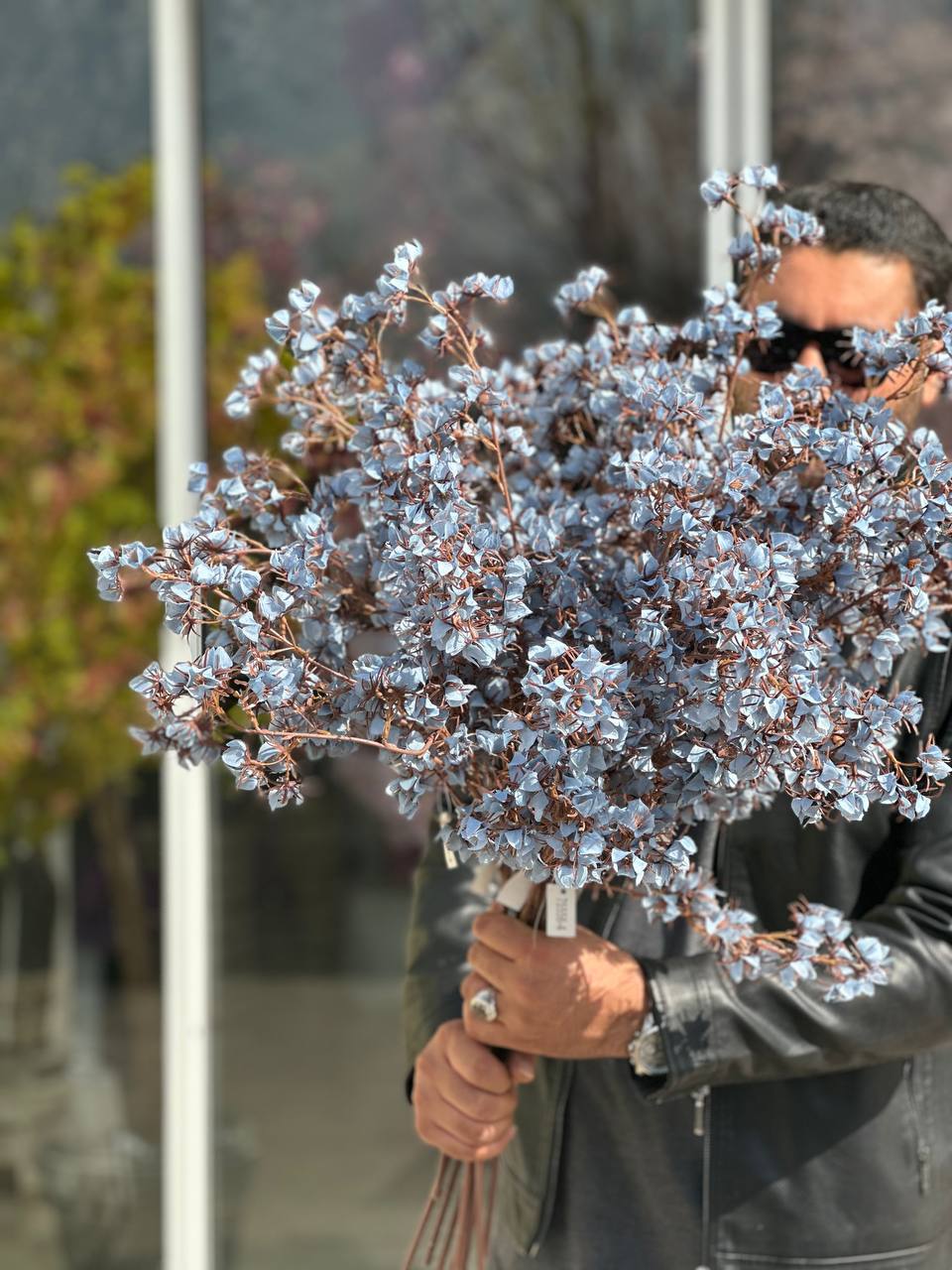 شکوفه خاردار غنچه ابی کمرنگ