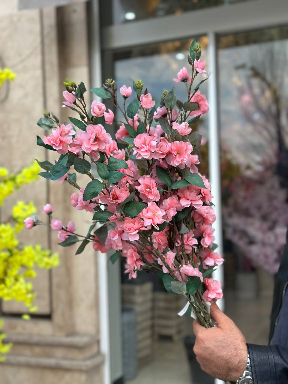 شاخه شکوفه صورتی