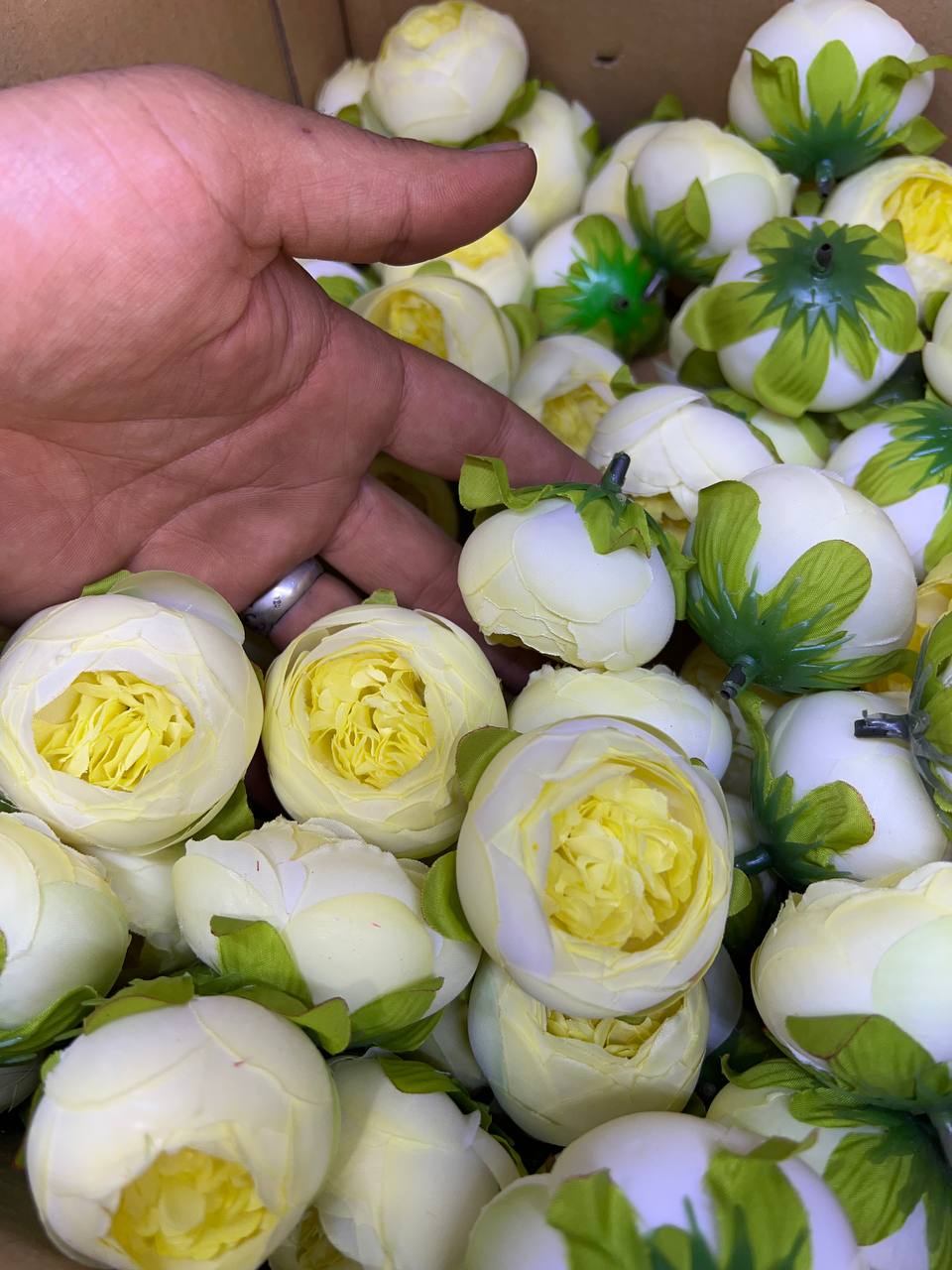 سرگل پیونی کوچک رنگ نباتی 10عددی