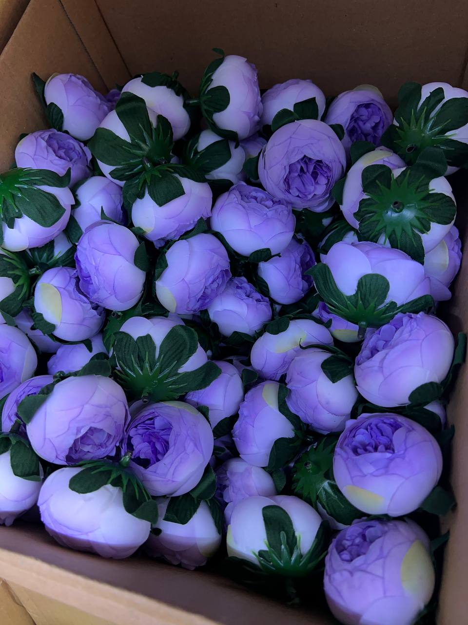 سرگل پیونی متوسط رنگ بنفش ۱۰ عددی