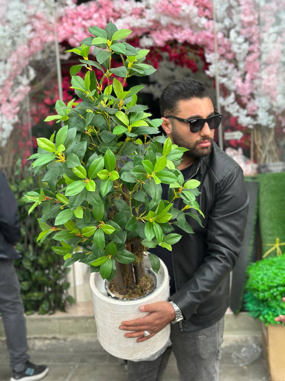 درختچه مصنوعی یاس هلندی