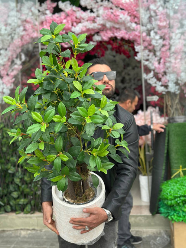 درختچه مصنوعی یاس هلندی
