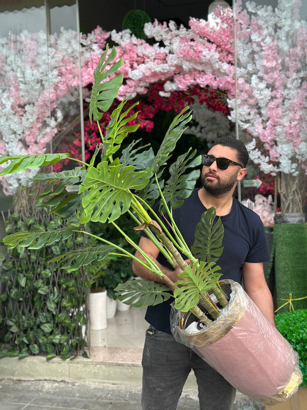 درختچه مصنوعی برگ انجیری