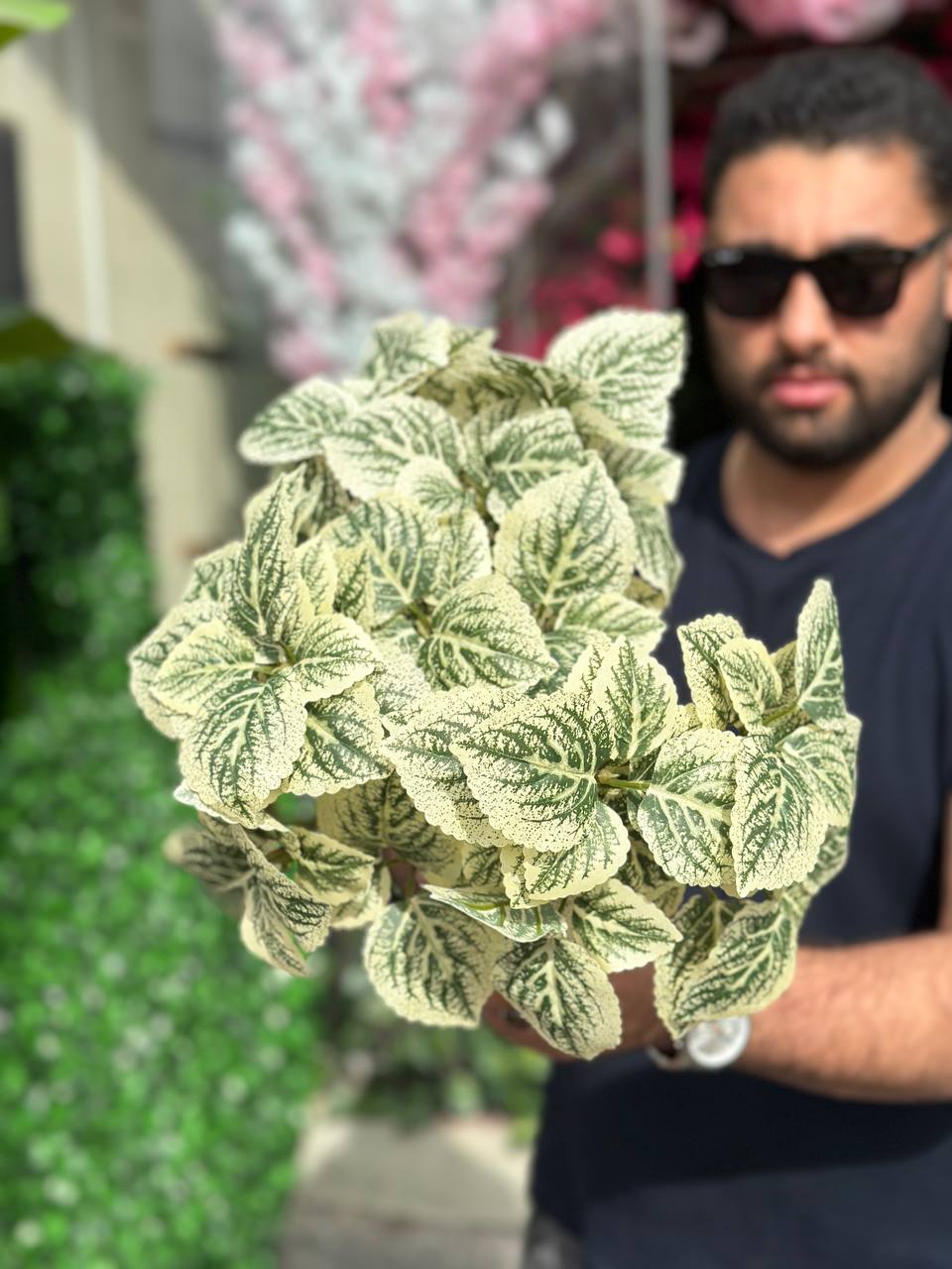 بوته مصنوعی حسن یوسف سبزو سفید