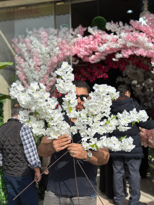شاخه شکوفه برگدار