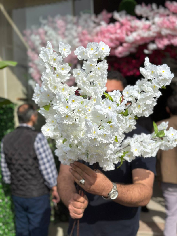 شاخه شکوفه برگدار