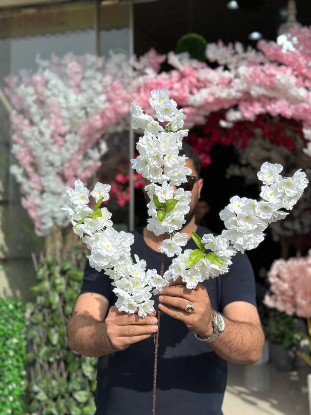 شاخه شکوفه برگدار