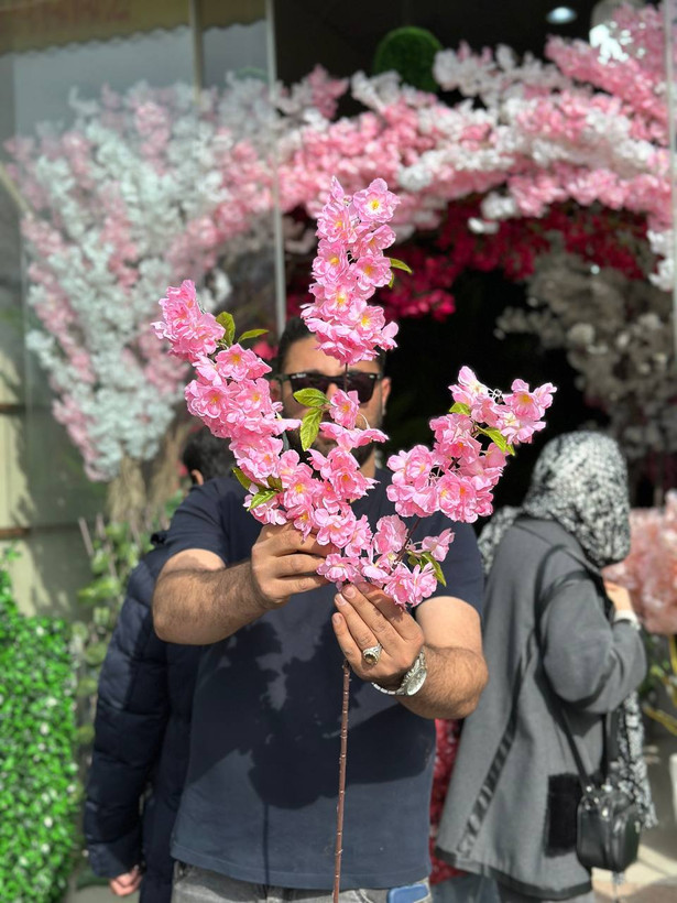 شاخه شکوفه برگدار رنگ صورتی