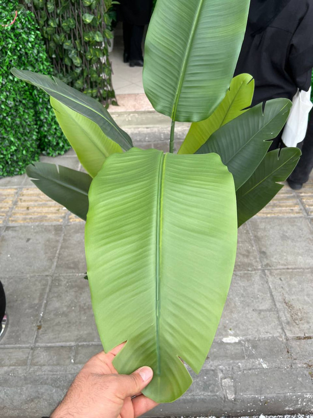 نخل نیکولای درختچه مصنوعی پرنده بهشتی 160سانتی 13برگ