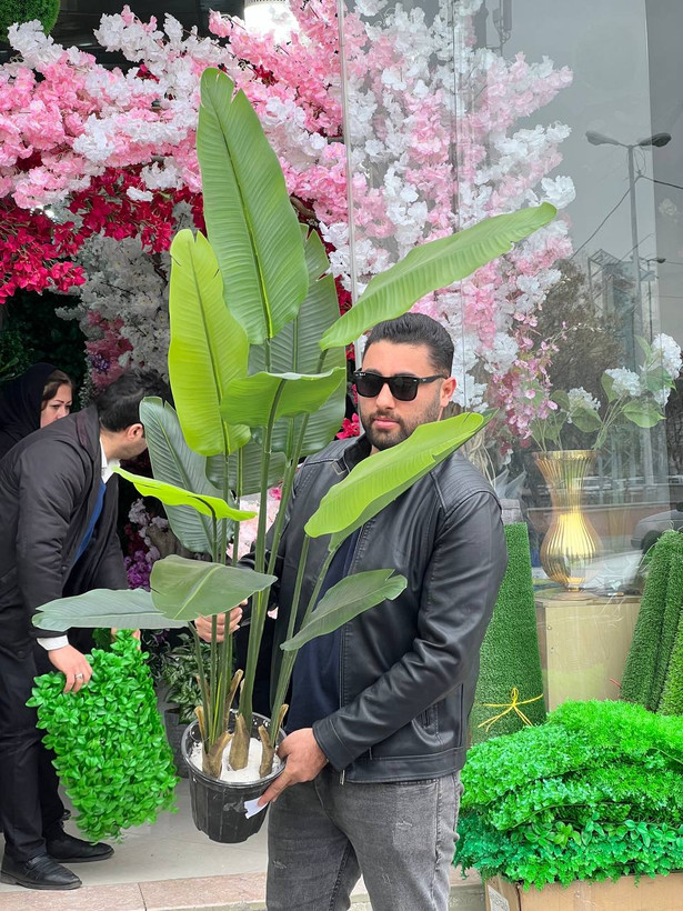 نخل نیکولای درختچه مصنوعی پرنده بهشتی 160سانتی 13برگ