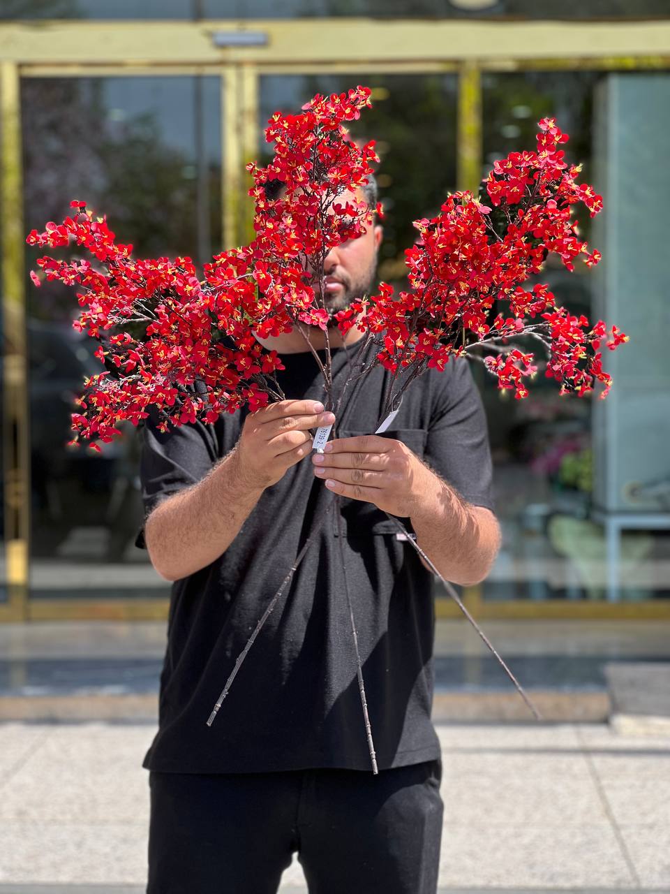 شاخه شکوفه ریز قرمز