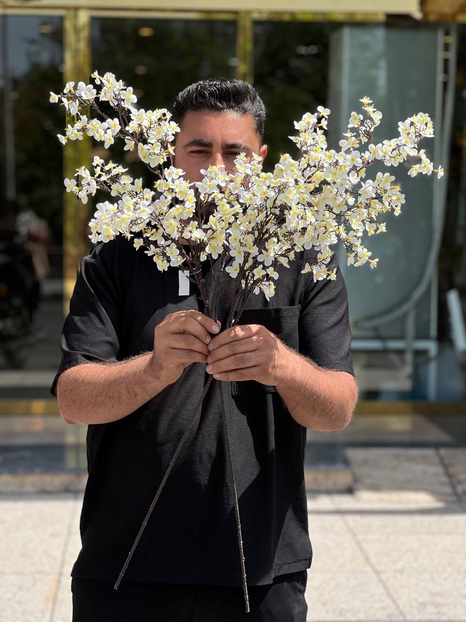 شاخه شکوفه ریز نباتی