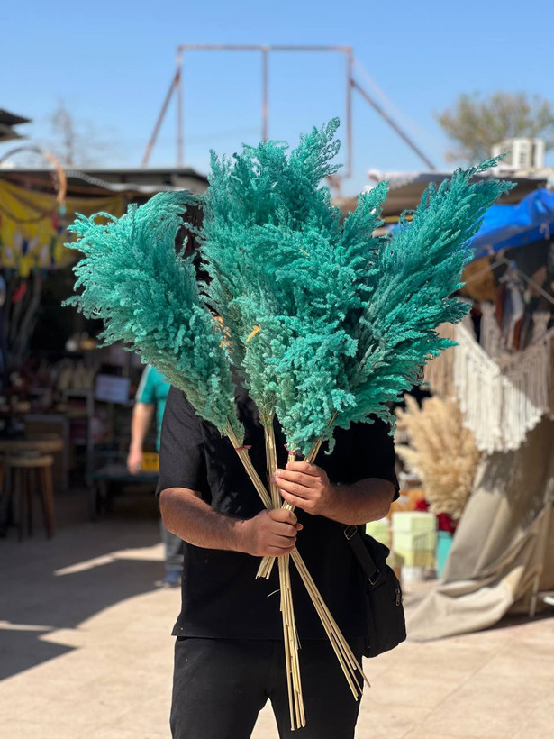 گل خشک پامپاس ۱۰ عددی رنگ فیروزه ای