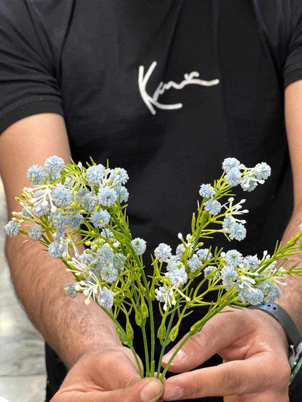 بوته ژیپسوفیلا آبی