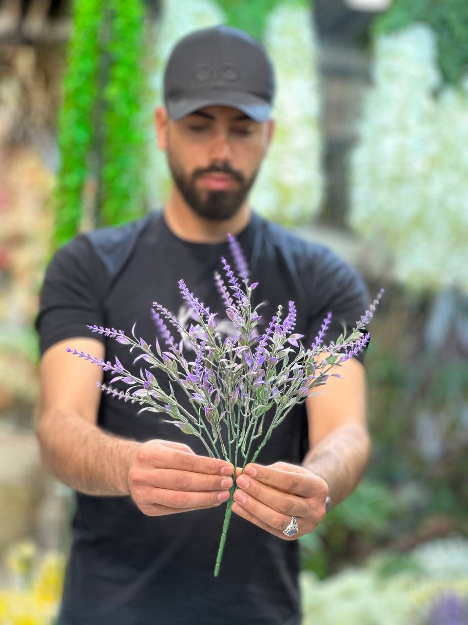 بوته لوندر بنفش