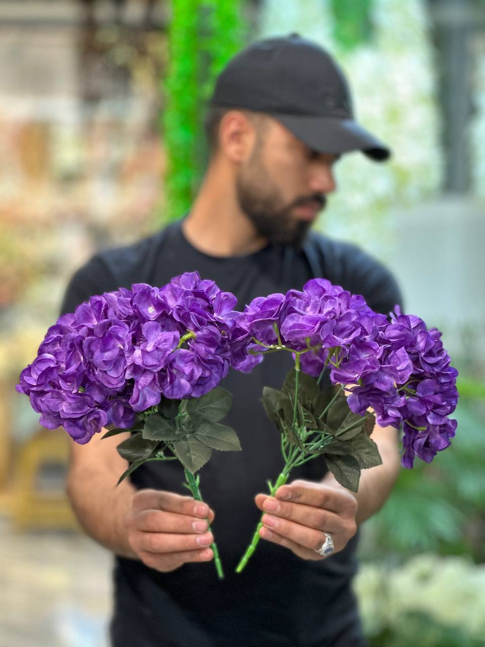 بوته شمشاد بنفش