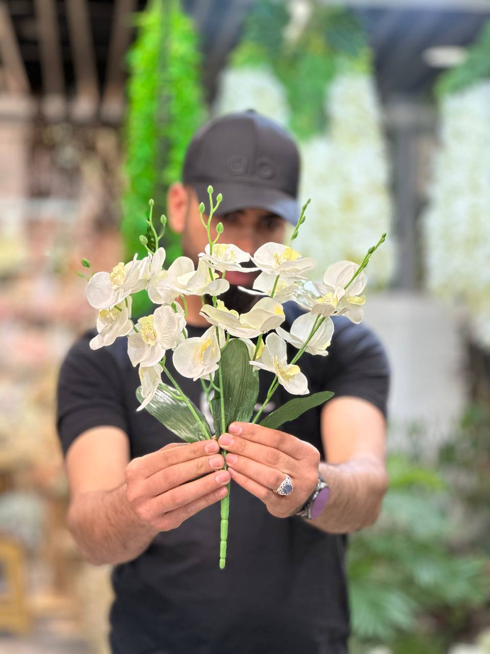 بوته گل ارکیده ۲۰ گل نباتی