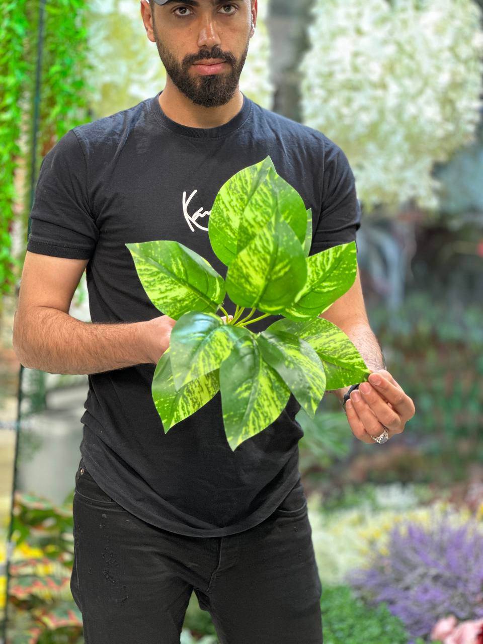 بوته برگ مصنوعی پتوس