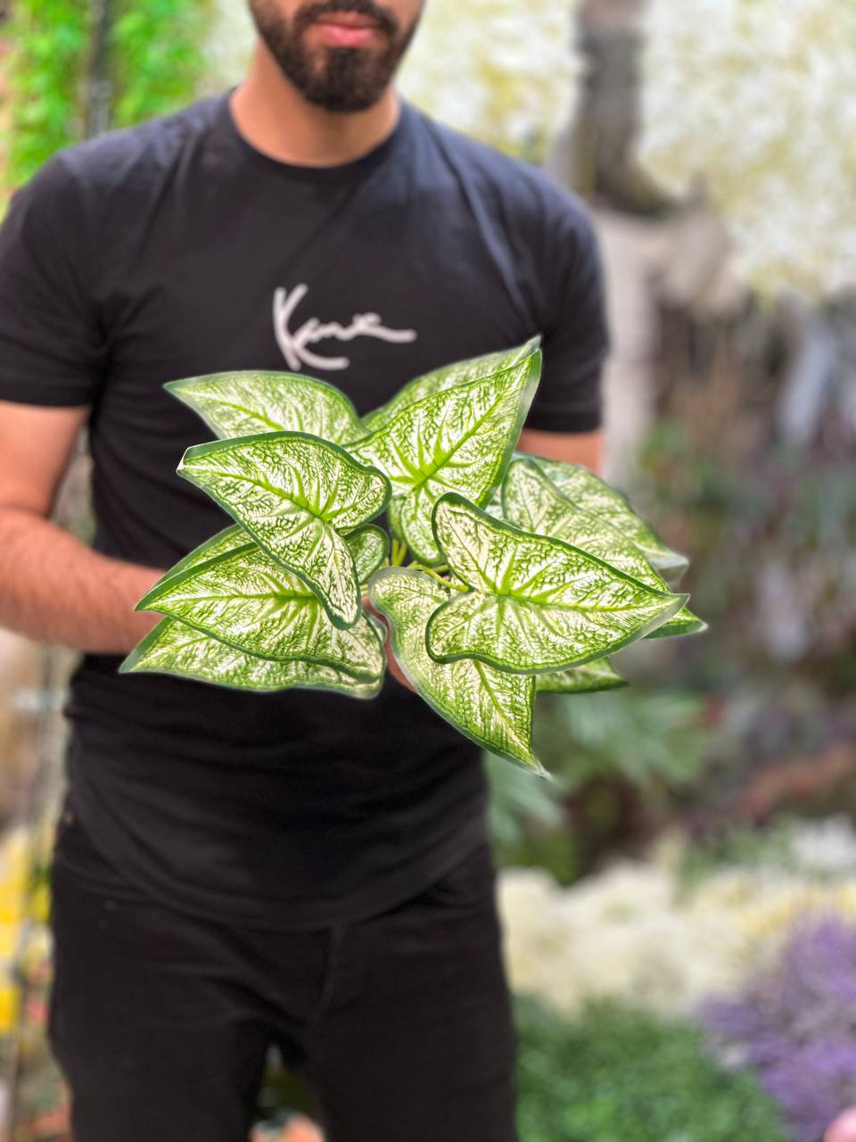 بوته برگ مصنوعی پتوس ابلق