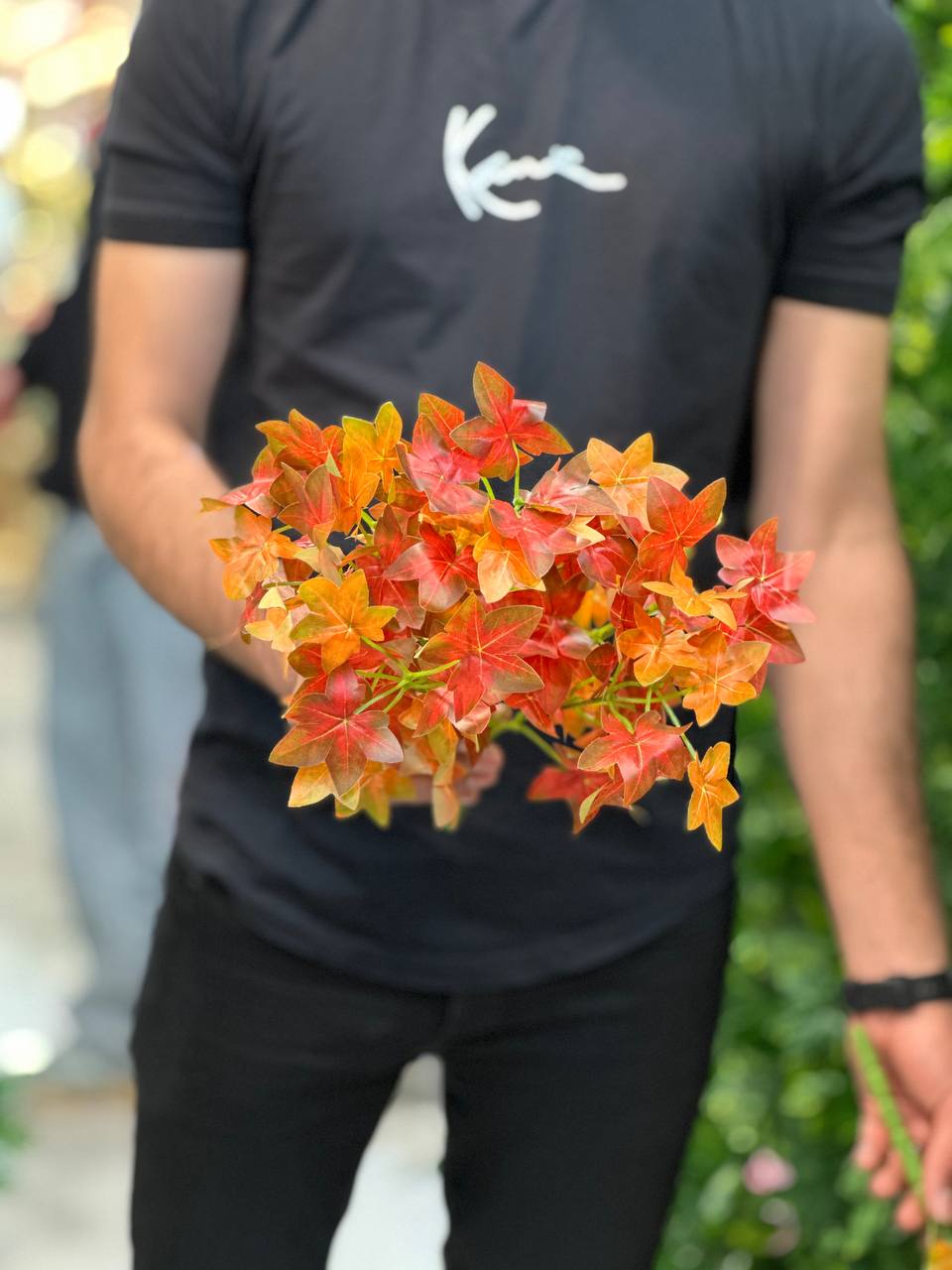 بوته برگ شمعدونی نارنجی