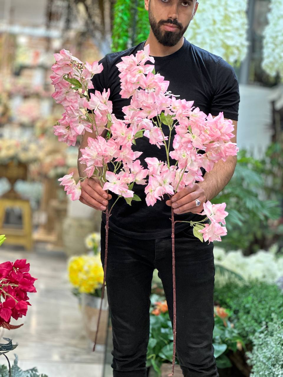 شاخه شکوفه گل کاغذی رنگ صورتی