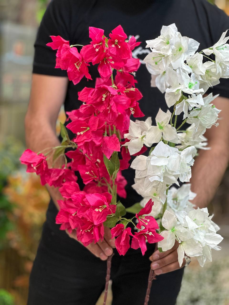 شکوفه کاغذی سرخابی و سفید ۲عددی