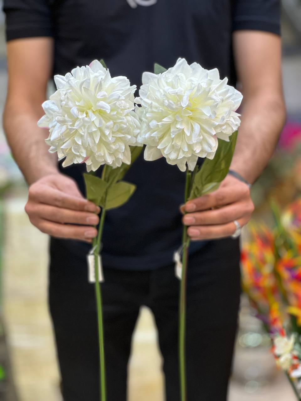 گل مصنوعی کوکب دو شاخه سفید