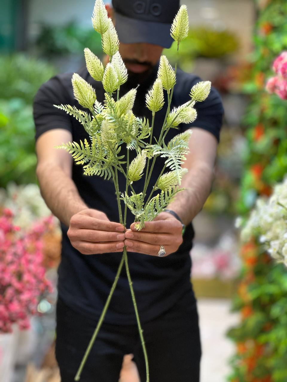 لوندر بزرگ رنگ سبز