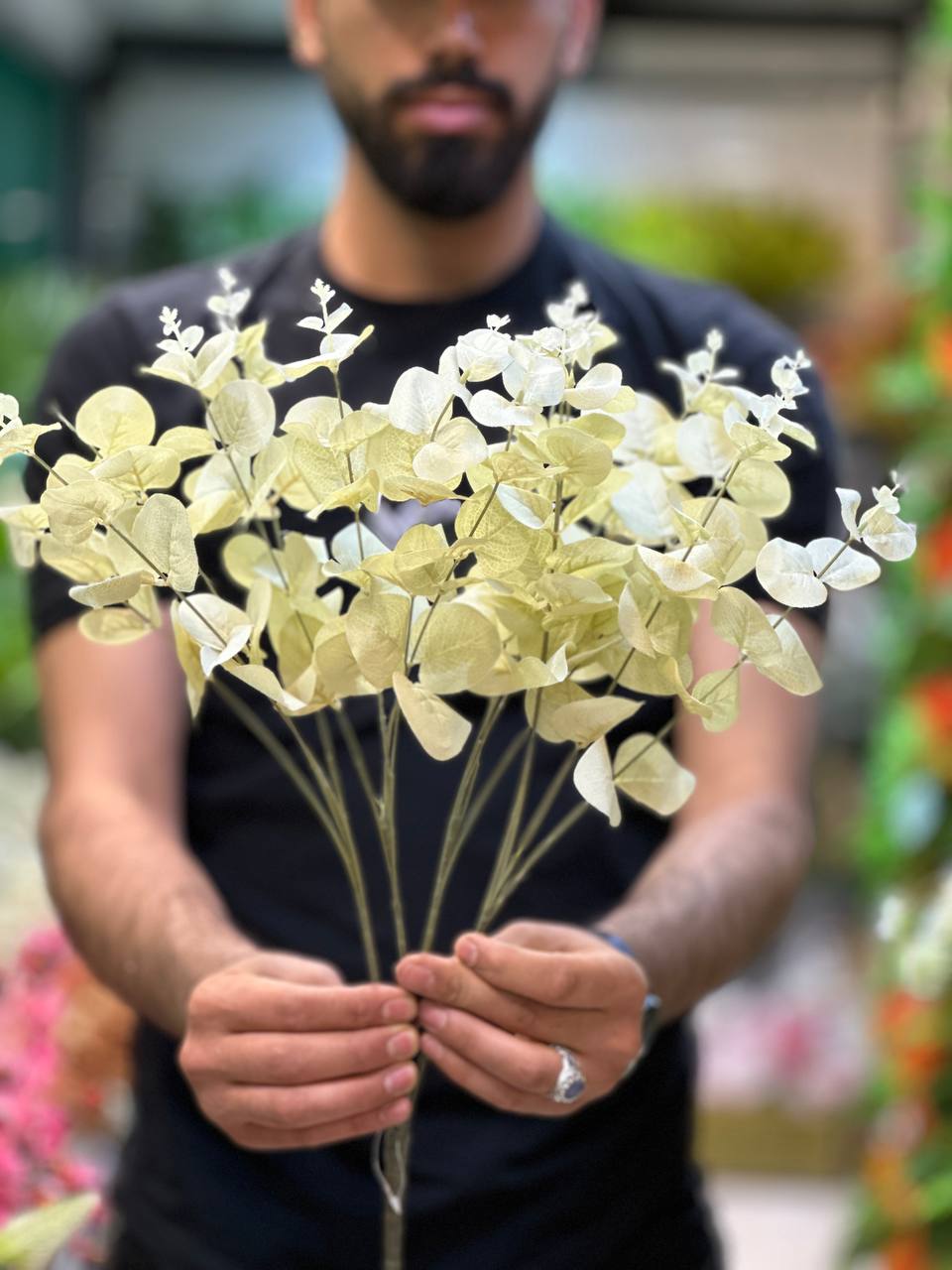 بوته اکالیپتوس رنگ سبز سیر